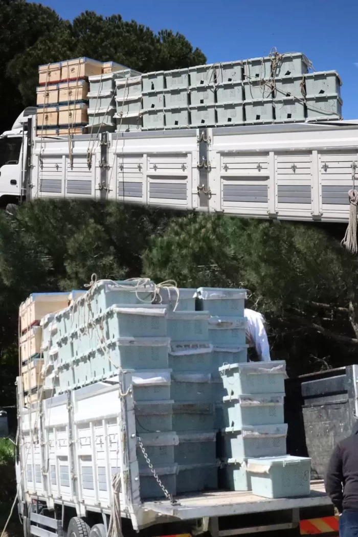 paket arı 2026-15