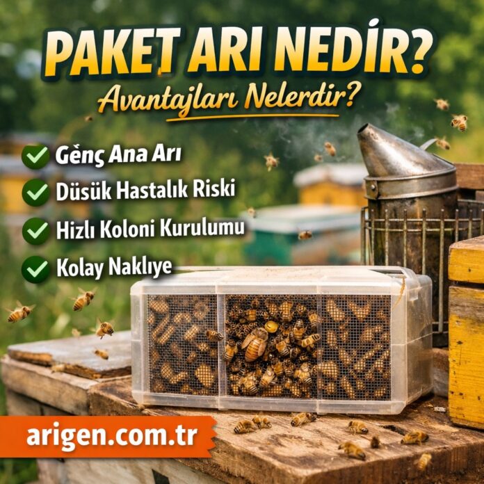 Paket Arı Nedir Avantajları Nelerdir Paket Arı Nedir Avantajları Nelerdir