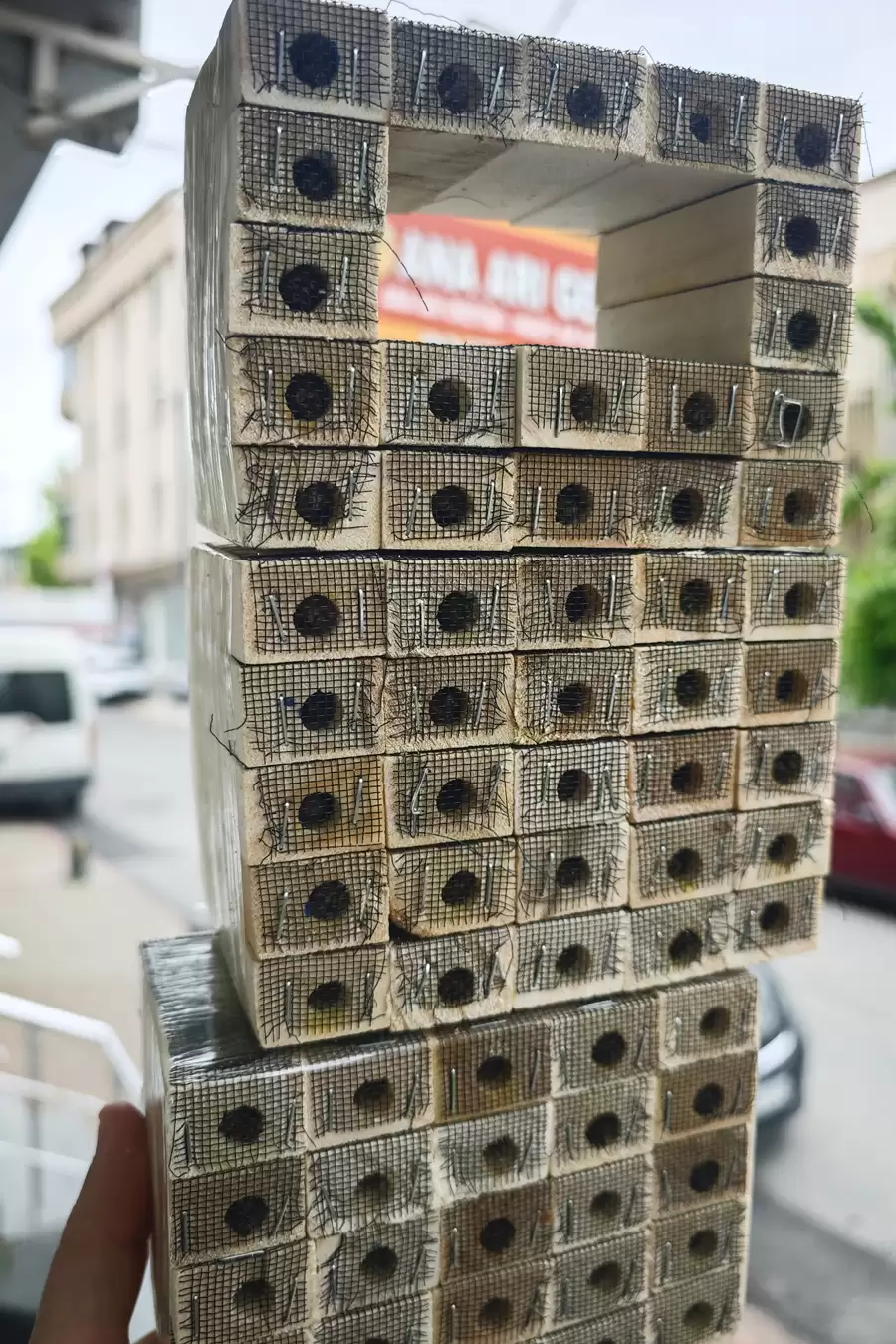 satılık arı 28