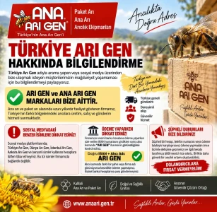 türkiye arı gen 2